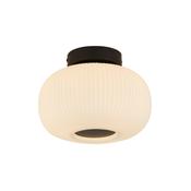 Lumina-10271-1