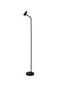 Rechargeable Floor Lamp