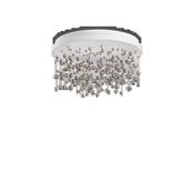 ARMONY PL D50
