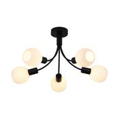 Nova 5Lt Flush Fitting image