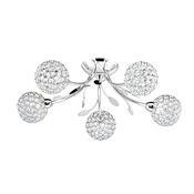 Bellis-Ii-6575-5