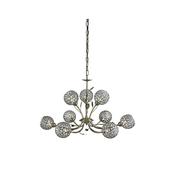 Bellis Ii-5579-9