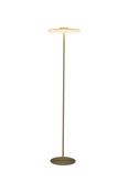 Record 1Lt Floor Lamp