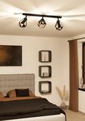 CARLTON Triple Spot Light