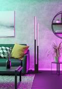 FRAIOLI-Z Floor Lamp image