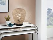 DEMBLEBY Table Lamp image