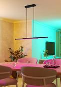 FRAIOLI-Z Linear Pendant