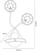izona_IL50222