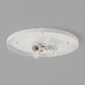 3-Way Plate