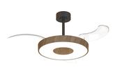 Coin Fan M_M9641 image