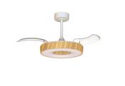 Coin Fan Mini Smart_M9497 image
