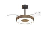 Coin Fan Mini Smart_M9639