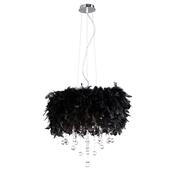 ibis_IL30742/BL image