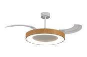 Niseko Fan L_M9058