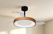 Niseko Fan M_M9091 image