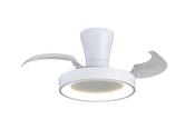 Niseko Fan XS_M9089