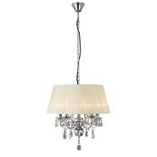 olivia_IL30045/CR