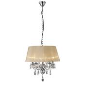 olivia_IL30045/SB