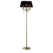 olivia_IL30066/BL