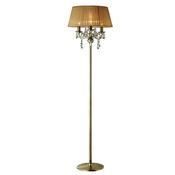 olivia_IL30066/SB