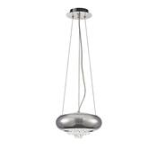 phyllis_IL31561 image
