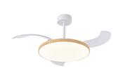 Slim Fan_M9007 image