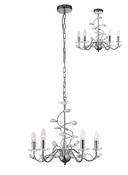 willow_IL31215 image