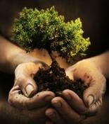 Reiki Level 3 Training