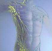 Lymphatic Reflexology