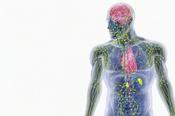 Lymphatic Drainage Massage image