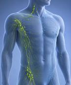 Lymphatic Drainage Massage image