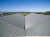 Box Profile / Corrugated PVC Coated Finish - 5.0m / Olive Green / 0.6mm
