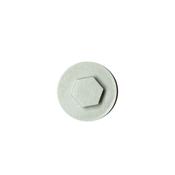 Albatross Screw Cap