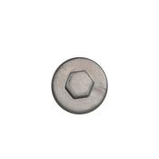 Metallic Silver Screw Cap