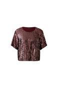 Burgundy Sequin Short-Sleeve Top image