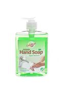 Hand Soap APPLE image