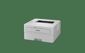 Brother HL-L2865DW