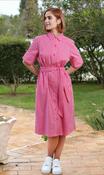 R&amp;amp;R Alicia Dress Pink image