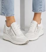 Susst Cameron Trainer