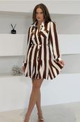 Francis Mini Dress image