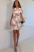 Ami Lace Dress Blush image