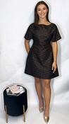 Belamy Mini Dress image