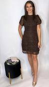 Ami Lace Dress Brown image