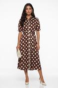 Sue Polka Dot Dress image