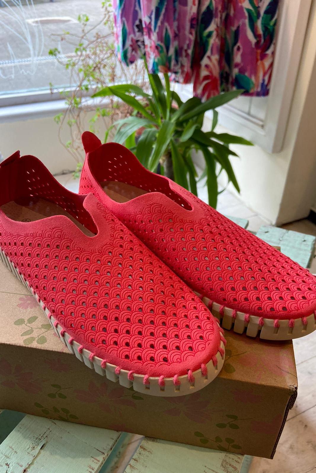 Ilse Jacobsen Tulip Shoes in Raspberry colour in Galway GetLocal