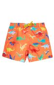 Frugi Boscastle Board Shorts in Salamander/Dino-Roar image
