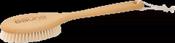 Redecker Sauna Brush with Handle