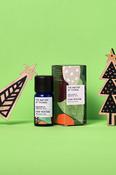 The Nature of Things Cosy Winter Blend 12ML image