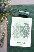 Una Heaney Designs Cairdeas Print