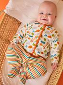 Frugi Scrumptious Babygrow Gift Set image